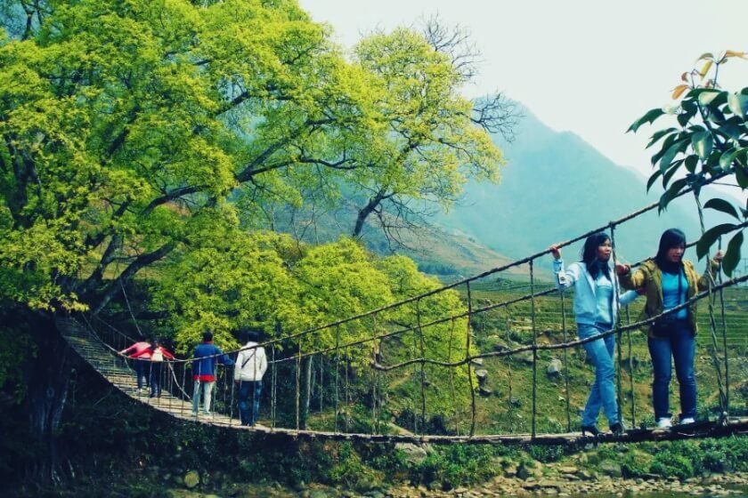 Image gallery